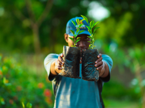 Daba Finance/AgriBlue.AI Accelerator Opens Applications for African Startups